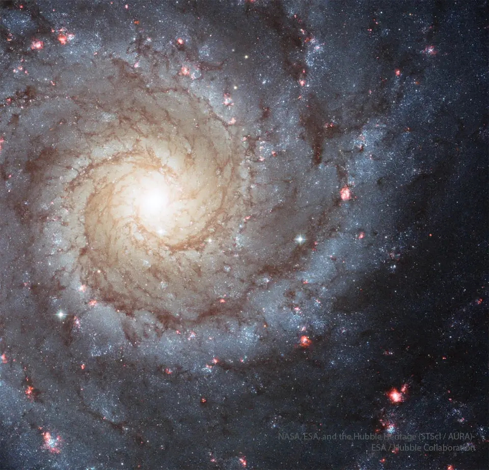 Галактика M74 (NGC 628) – спиральная галактика в созвездии Рыб на снимке телескопа «Хаббл»
