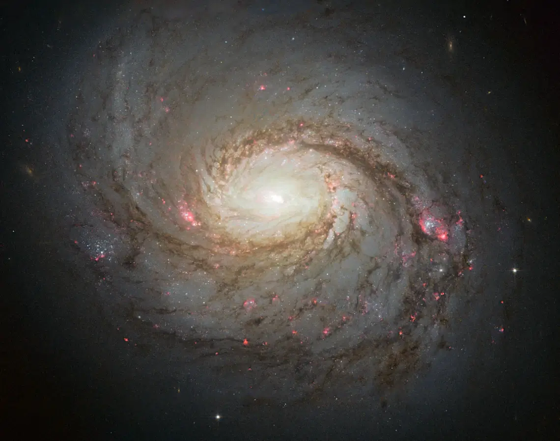 Галактика M77 (NGC 1068) на снимке «Хаббла» – источник космических нейтрино, найденный телескопом IceCube