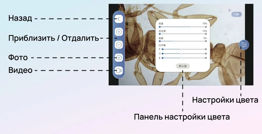 Экран приложения